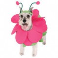 /album/fotogaleria-coleccion-disfraz-/disfraces-para-mascotas-jpg/